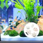 5 Pcs Desktop Ornament Fish Tank Decorative Simulated Coral Ornaments