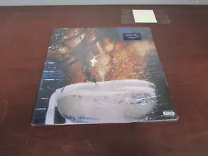 SEALED AMAARAE FOUNTAIN BABY THE SOPHOMORE ALBUM VINYL (18C) - Foto 1 di 4