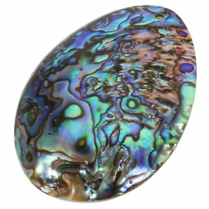 Natürliche Muschel Abalone Muschel Anhänger Schmuck Basteln Geschenke Haus Anhänger Deko - Bild 1 von 10