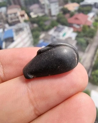 A MESOPOTAMIAN HEMATITE DUCK WEIGHT - Image 1 of 4