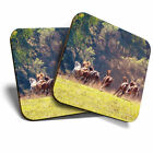 2 x Coasters - Horse Riding Cowboy Farming Home Gift #3216