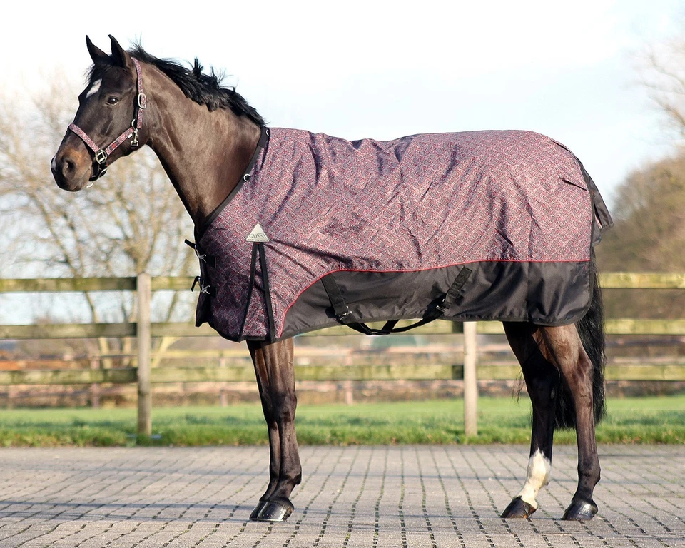 Turnoutdecke Pferdedecke Regendecke Outdoordecke Fleecedecke Turnout Ausreitdec  - Bild 1 von 1