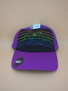 NWT "Love is Love" Purple Rainbow Gay Pride Adult Unisex Baseball Hat Six Flags - Picture 1 of 10