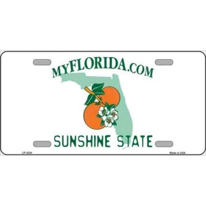Etiqueta de placa de metal novedad en blanco del estado de Florida LP-2224 - Imagen 1 de 1