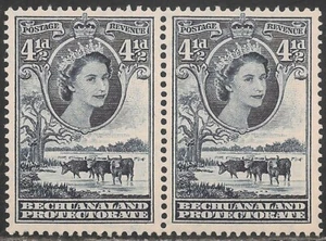 Bechuanaland #159 VF MNH PAIR - 1955 4 1/2p Elizabeth II, Cattle and Baobab Tree - Picture 1 of 1
