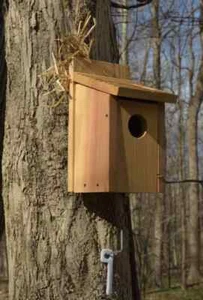 Wooden Bird Box House Hummingbird Hanging Houses Cedar Blue Bird 1Pack DIY Kit - Picture 1 of 5