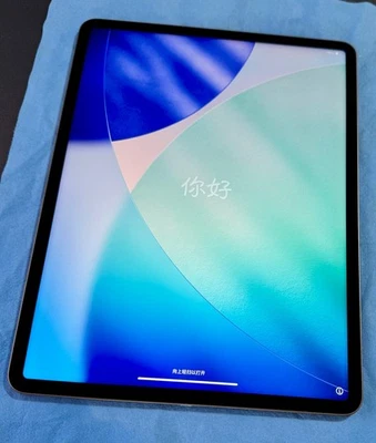 Apple iPad Pro 5. Gen (2021) 12,9 Zoll WiFi  128 GB Space Grau - Bild 1 von 4