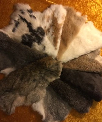 Kaninchenfell Hasenfell - Alle Farben - Alle Größen - Einzeln und Mengenrabatt - Bild 1 von 4