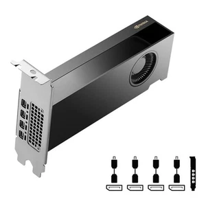 PNY NVIDIA RTX 2000 Ada Graphic Card - 16 GB GDDR6 (vcnrtx2000adab) - Picture 1 of 1