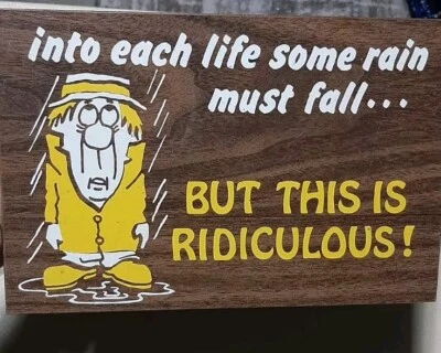 PLACA VINTAGE "EM CADA VIDA ALGUMA CHUVA DEVE CAIR, MAS ISSO É RIDÍCULO" 1974 - Imagem 1 de 4