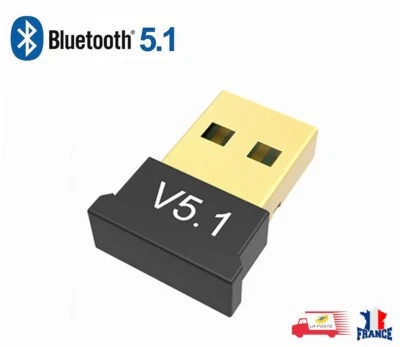 Clé USB Bluetooth 5.1 mini adaptateur Dongle V5.1 Sans Fil pour PC Windows