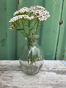 Glasvase "FABI" kleine ovale Blumenvase Pressglas transparent H/Ø: 10/5,5cm - Bild 1 von 5