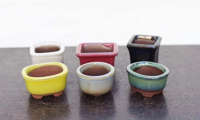 Very Small Bonsai Pots BUNZAN Set of  30 pcs Glazed Round Oval KENGAI MAME - Image 1 of 4