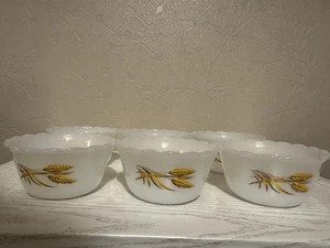 VTG Fire King Golden Wheat Ramekin Custard Cups Anchor Hocking Milk glass Set 6 - Picture 1 of 11