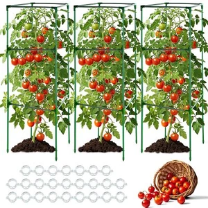 3 Pack 58x15.7x15.7Inches Square Tomato Cages for GardenHeavy Duty Steel Toma... - Picture 1 of 6