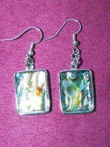 ABALONE / MUSCHEL  Ohrringe  EINZIGARTIG / NEU! - Bild 1 von 2