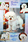 Bichon Frise Gift Wrapping Paper