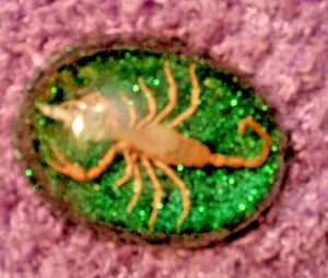 SCORPION IN GREEN SPARKLY CASE - Picture 1 of 1