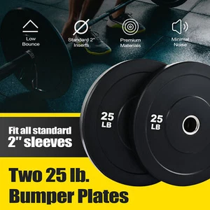 25lb Weight Plate Set Twin Bumpers for Bench Presses Squats Deadlifts &c 2 Pack - Picture 1 of 8