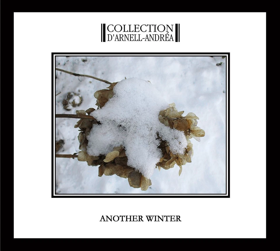 COLLECTION D'ARNELL-ANDREA Another Winter CD Digipack 2019 - Bild 1 von 1