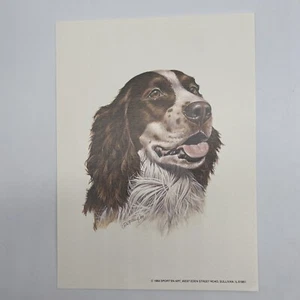 Vintage Roger Cruwys Dog Art Print Unframed 8 x 6 - Picture 1 of 4