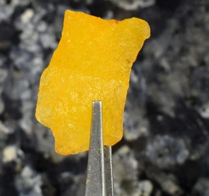 AGI zertifiziert 37,25 ct natürlicher Madagaskar gelber Saphir Edelstein grob B72625 - Bild 1 von 8