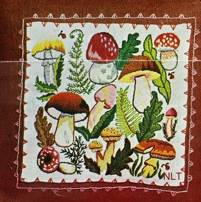 Kit bordado crewel vintage almohada coloridos hongos helechos ¡SIN HILO! Foto 1 de 4