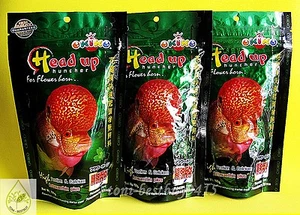3x100g OKIKO Best Flowerhorn Head Up Huncher Fish Platinum Quick Green Fish Food - Picture 1 of 4