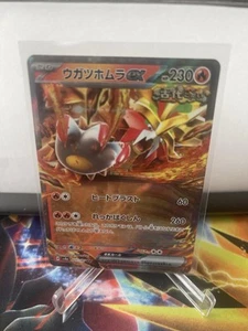 Gouging Fire ex 027/187 Sv8a: Terastal Fest Ex Holo (Japanese) - Picture 1 of 1