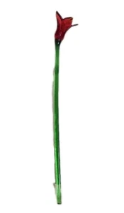 2 mundgeblasene Glas lange Stiel rote Tulpe Blume 18" lang Murano Stil - Bild 1 von 12