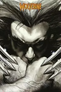 Marvel Extreme : Wolverine Claws - Maxi Poster 61cm x 91.5cm new and sealed - Picture 1 of 1