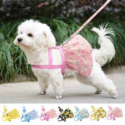 Cute Floral Printed Small Dog Dress Harness and Leash Set Puppy Girl Dog Dress - Image 1 of 4