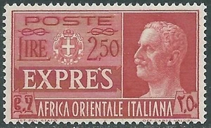 1938 AFRICA ORIENTALE ITALIANA ESPRESSO SOGGETTI VARI 2,50 LIRE MNH ** - P19-8 - Imagen 1 de 1