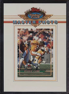 Foto maestra 1993 Topps Stadium Club 5x7 Reggie Cobb Tampa Bay Buccaneers - Imagen 1 de 2