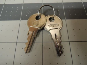 (2) Chiavi di ricambio originali Notificatore Fire Systems 17021 - Cromate - Foto 1 di 13