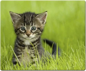 Speedlink tapis de souris chaton neuf - Photo 1/1