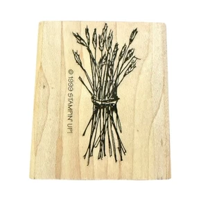 Stampin Up Jahrgang 1999 Konvolut Weizenstempel - Bild 1 von 2