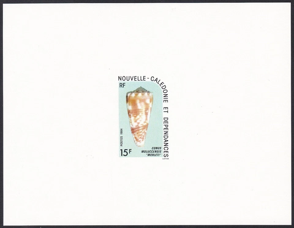 New Caledonia Sc496 Local Seashell, Sea Snail, Conus moluccensis, Deluxe Proof - Image 1 of 1