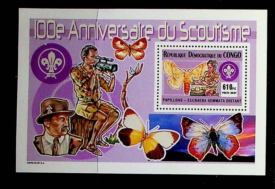 CONGO - NH SOUVENIR SHEET OF 2007 - SCOUTS - BUTTERFLIES - (SC1) - Image 1 of 1