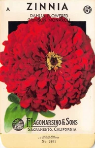 Paquete de semillas vintage: Zinnia, Lagomarsino & Sons, Sacramento, años 40 - Imagen 1 de 2
