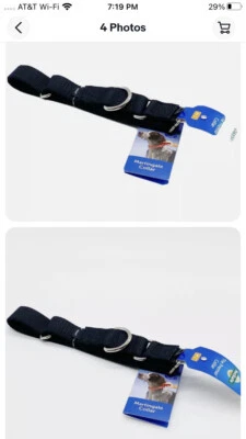 PetSafe Martingale Dog Collar, Alternative to Choke Collar Black Medium 1” - Image 1 of 3