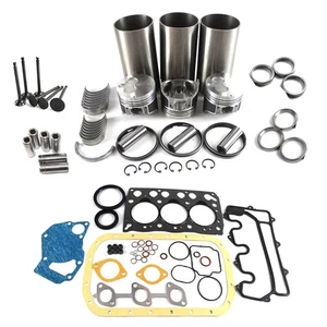 All-new PANGOLIN 3LB1 Engine Rebuild Kit with Valve Set For Hitachi EX55 IHI 16N - Picture 1 of 7