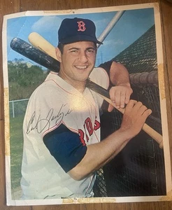 Carl Yastrzemski Autograph Signed 8x10 - Picture 1 of 1