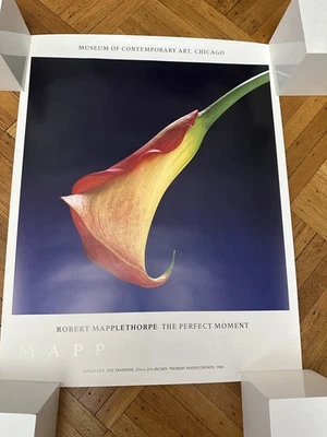 Póster con impresión artística "Calla Lily" floral Mapplethorpe Estate 1989 NUEVO ENROLLADO 32”x25” Foto 1 de 4