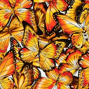 Fabric Butterfly Wings Monarch on White KAUFMAN Cotton 1/4 yard SRKD-18708-130 - Picture 1 of 4