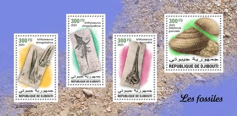 Fossils MNH Stamps 2023 Djibouti M/S Cover