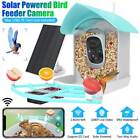 Solar Powered Smart Bird Feeder 4.5L with Camera 1080P HD AI Recognition Outdoor