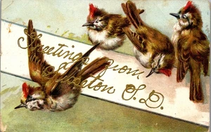 Sisseton, South Dakota Postcard (1908) Greetings From.. - Picture 1 of 2