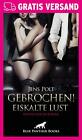 Gebrochen! Eiskalte Lust | Erotischer Roman Von Jens Polt | Blue Panther Books
