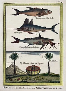 1749 Swordfish, Flying Fish, Catfish by J. Von Schley after Nieuhof, Fo - Picture 1 of 3